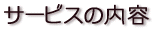 T[rX̓e
