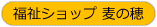 Vbv ̕